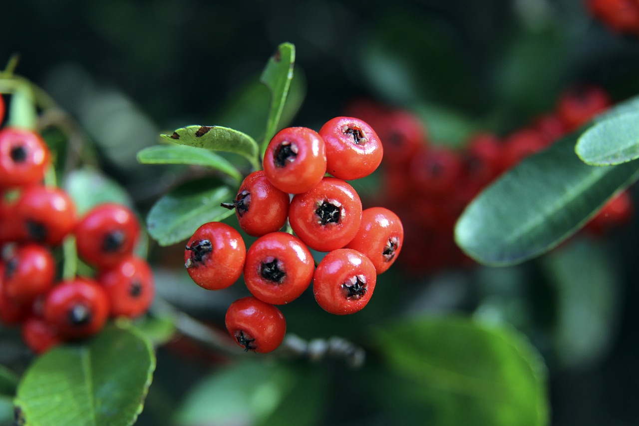 新型消费不 新型消费不