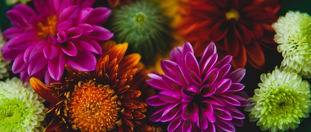 更是消费结 更是消费结