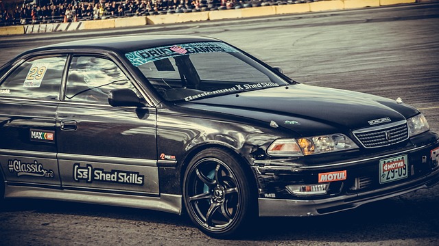 的世界里 的世界里