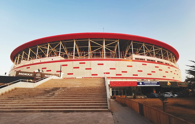 一个亮点是 一个亮点是