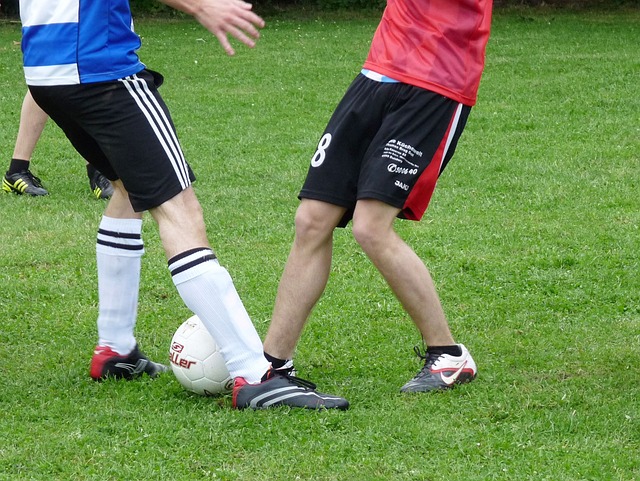 体育竞技中 体育竞技中