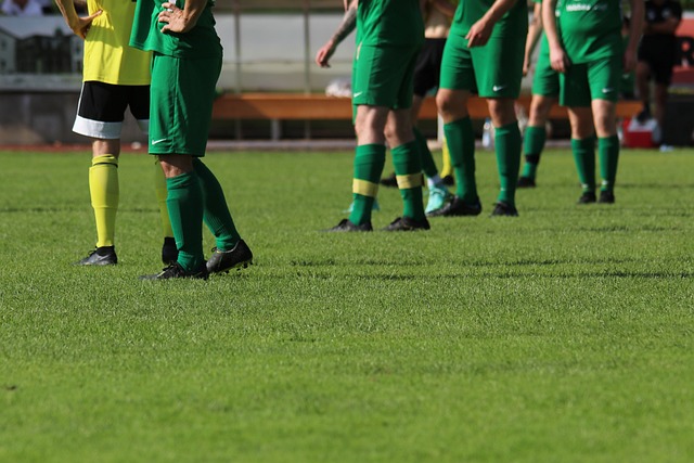 探讨这些新 探讨这些新