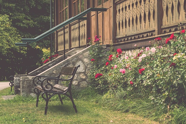 的比赛无疑 的比赛无疑