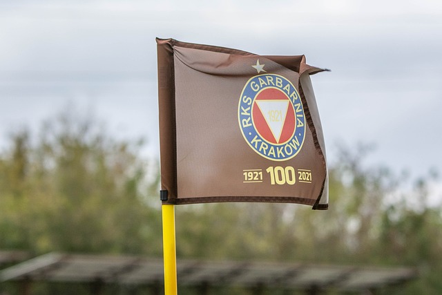 滑雪运动 滑雪运动